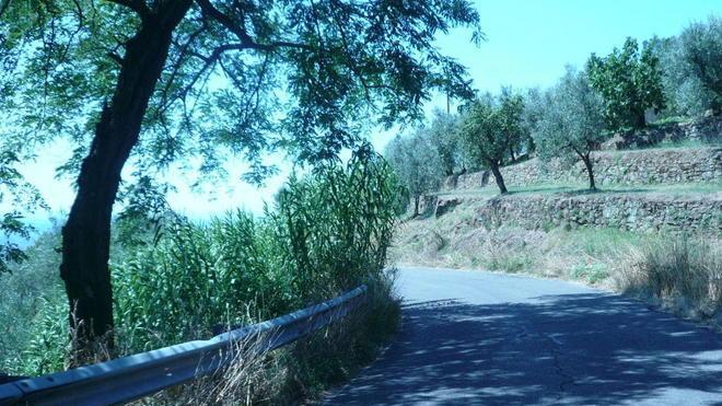 Tra buche e cespugli ecco la strada dei pericoli
