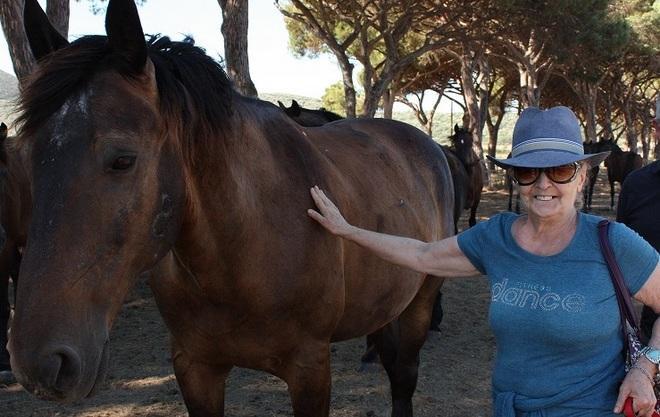 Enpa: «Al Giglio manca il veterinario, boicottate l’isola» 