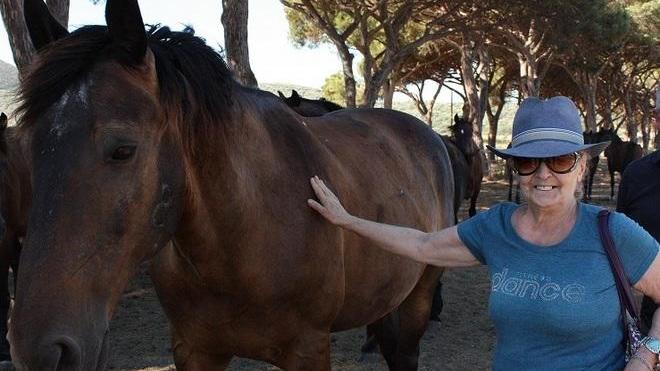 Enpa: «Al Giglio manca il veterinario, boicottate l’isola»