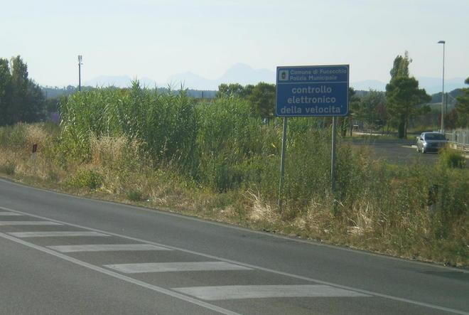 Strada con cespugli e canneti pericoli per la poca visibilità 