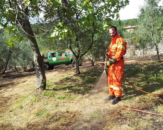 Pomeriggio di fuoco in un’oliveta a Sofignano 