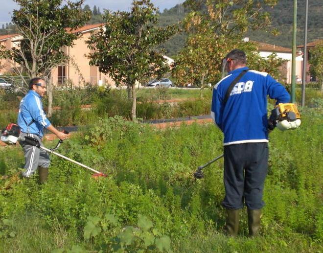 Campi e fossati da pulire Si rischiano le multe