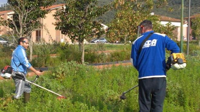 Campi e fossati da pulire Si rischiano le multe