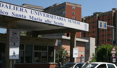 Capalbio, ricoverata dodicenne caduta da cavallo 