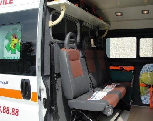 Ambulanza Svs per animali, come si fa a chiedere l’intervento 