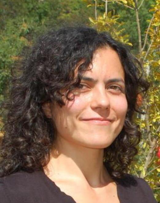 «Anche se in perdita il settore tiene» 