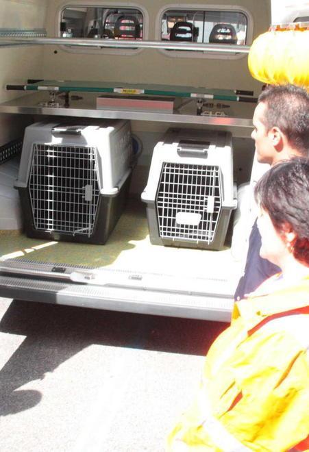 Il flop dell’ambulanza per gli animali 