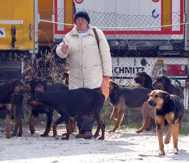 Nessuno vuole i cani killer «Li tengo gratis in un box» 