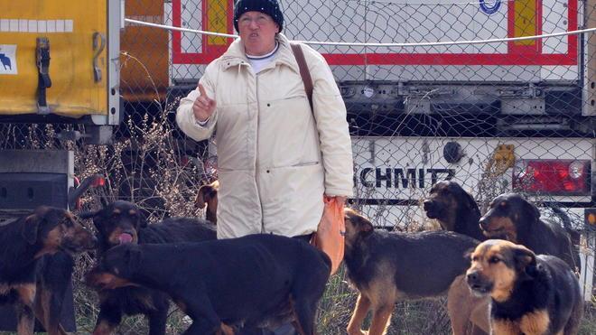 Nessuno vuole i cani killer «Li tengo gratis in un box»