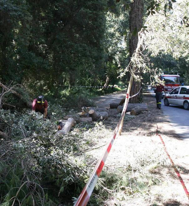 Prorogato al 30 agosto il bando dei contributi affitto