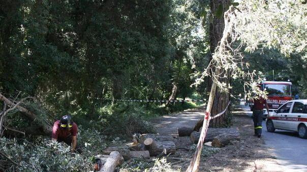 Prorogato al 30 agosto il bando dei contributi affitto
