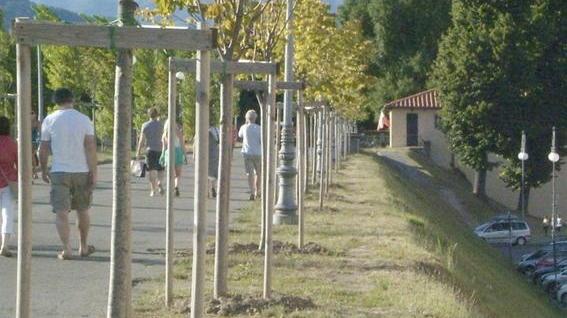 Evitare le cadute dalle Mura, una missione (quasi) impossibile