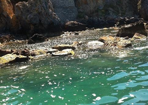 Schiuma al largo di Talamone: è giallo 