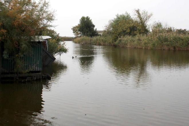 La canapa potrebbe salvare il lago