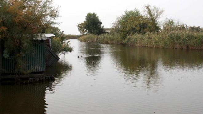 La canapa potrebbe salvare il lago