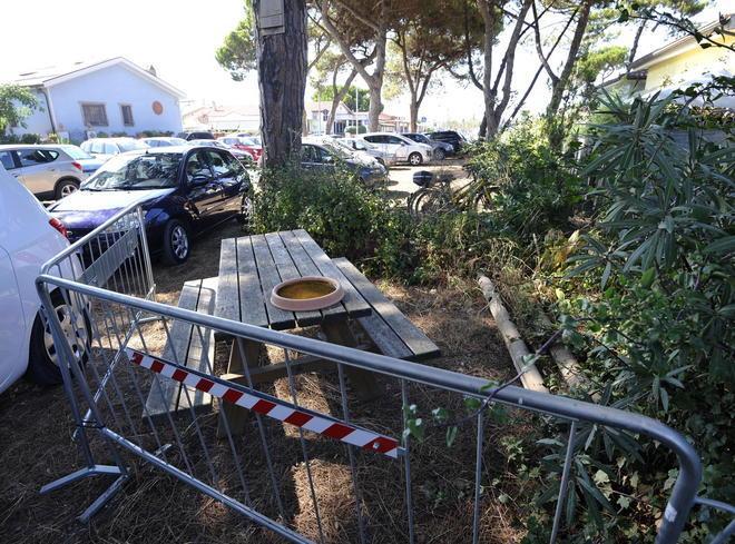 Ordine al demanio: «Pulite la pineta» 