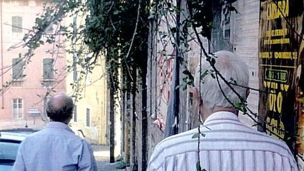 Rovi e rami dal giardino graffiata una signora
