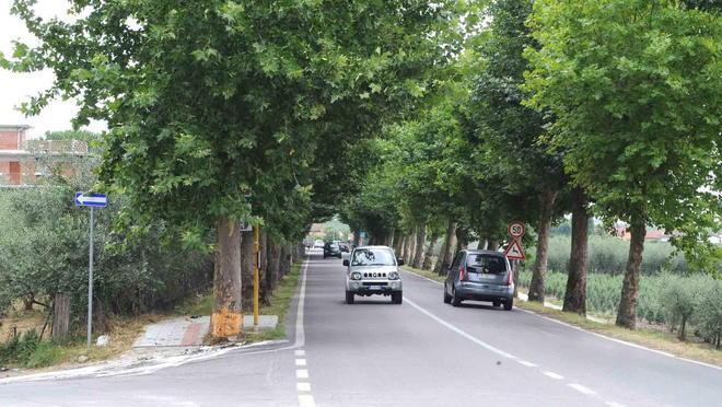 Fasci di luce ai bordi delle vie Ecco il piano anti-cinghiali 
