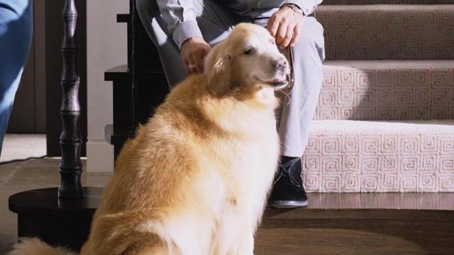 D’ora in poi porte aperte a Fido