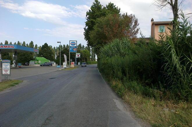 Scarsa manutenzione Le strade provinciali invase dagli arbusti 