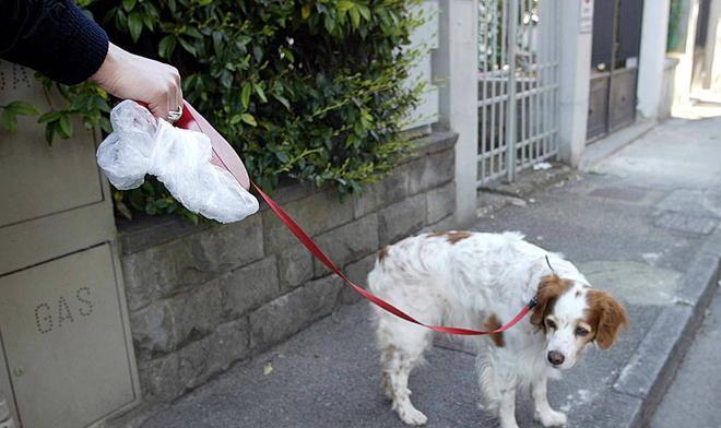 Campagna di multe per i bisogni dei cani