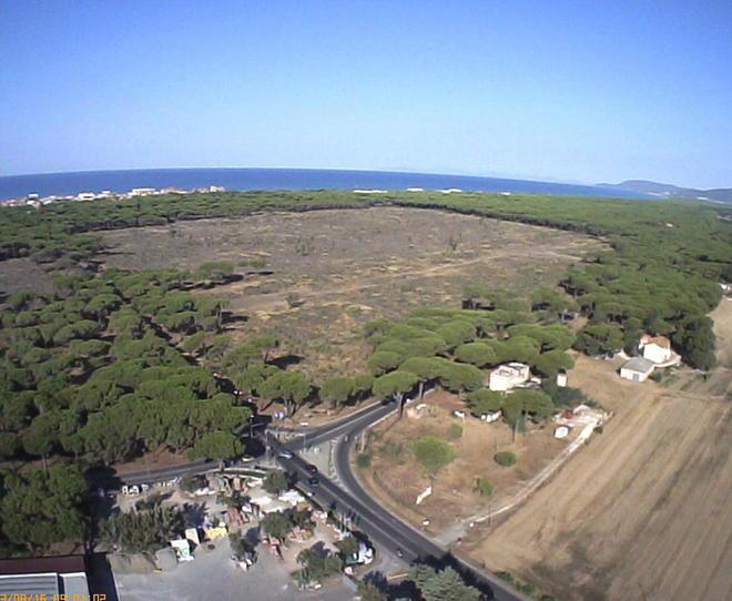 Sos dal Comitato civico «Così si uccide la pineta» 