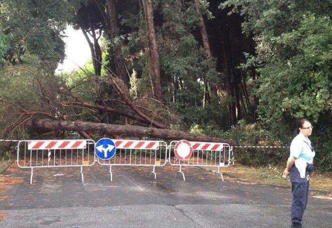 Decine di alberi abbattuti dal vento 