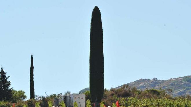 Un nuovo esposto al sindaco contro l’antenna-cipresso