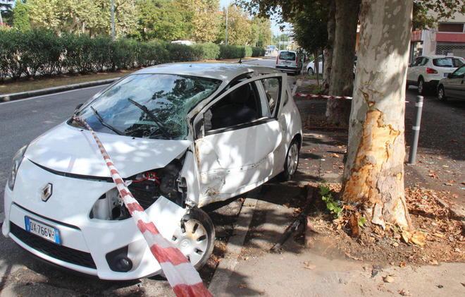 Contro un albero nella notte