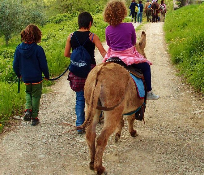 I migliori amici dei bimbi autistici? Gli asinelli sardi 