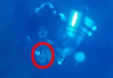 Giannutri: immersione con furto, il sub prende l’anfora 