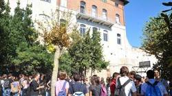 «Sul sostegno ai disabili solo silenzio, mi dimetto»