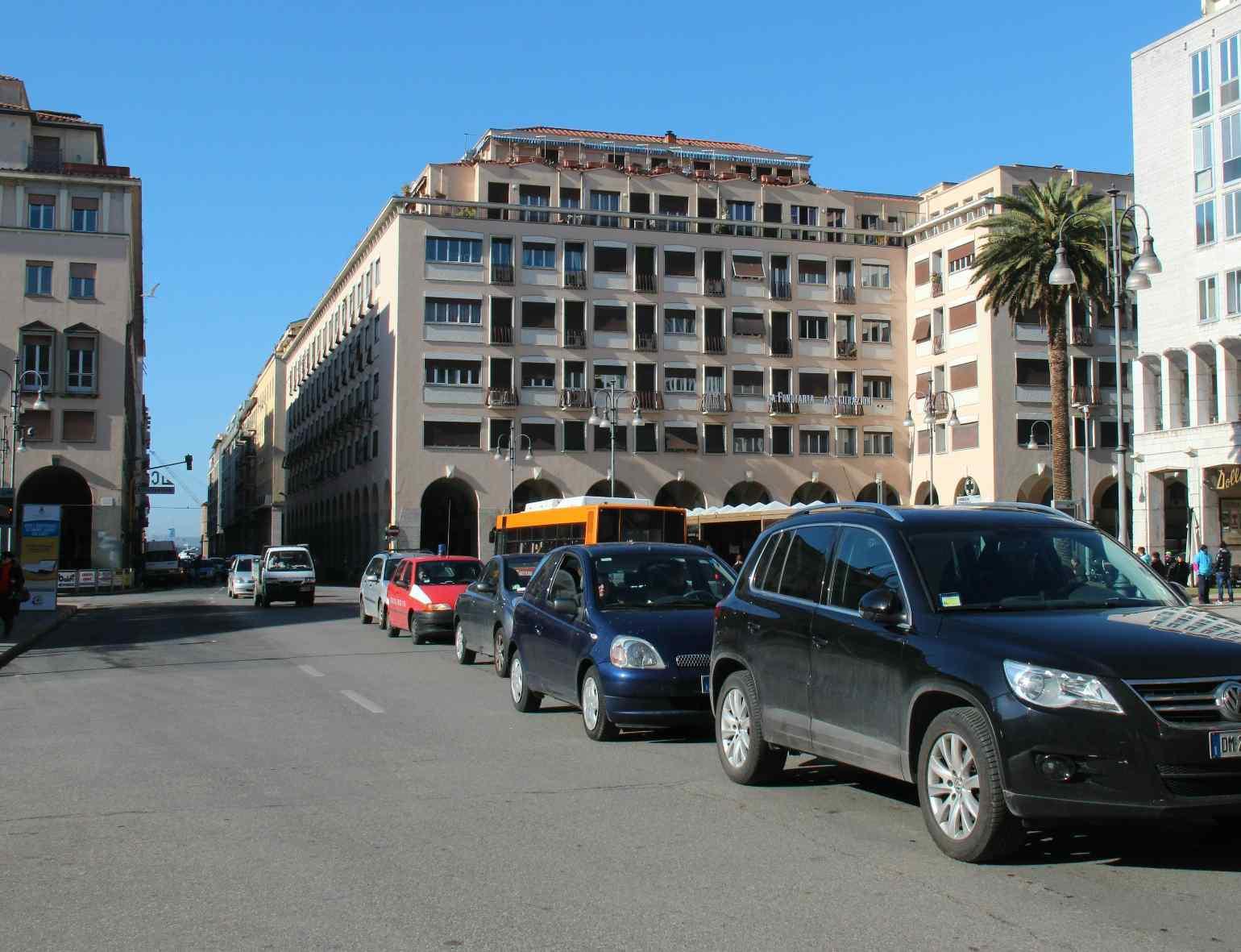 Dieci grandi palme nella nuova piazza Grande 