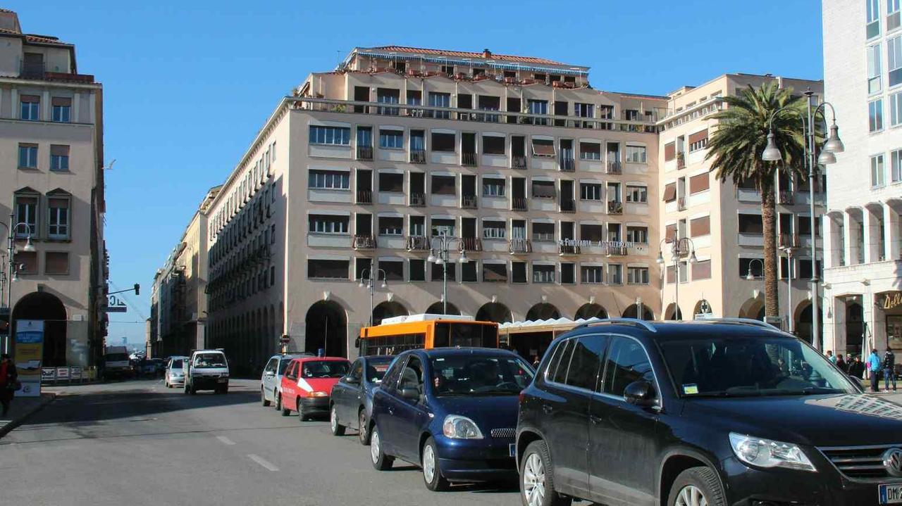 Dieci grandi palme nella nuova piazza Grande