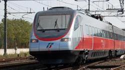 Treno investe un animale (forse un cervo) e si blocca sui binari