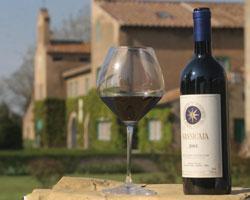 Vino, le etichette toscane al top nel mondo 