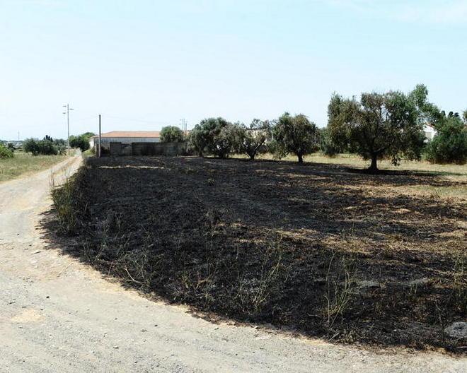 Estate trascorsa tra picconate e incendi 