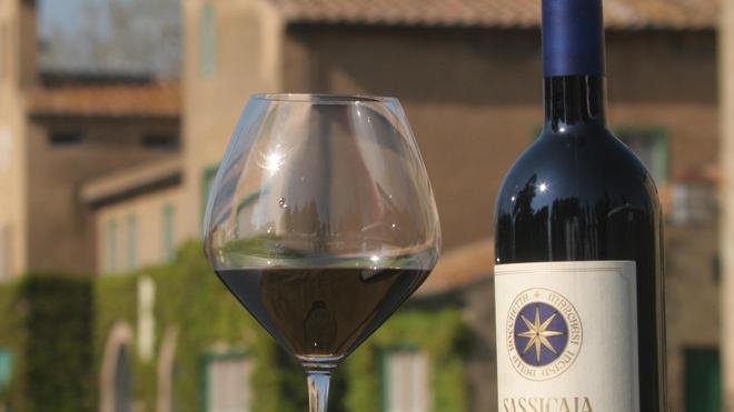 Vendemmia al via, si cerca manodopera