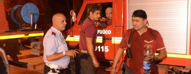 Rogo nel Parco, distrutte pineta e arbusti 