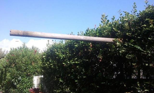 Vandalismi e sporcizia: Septemberfest nel mirino