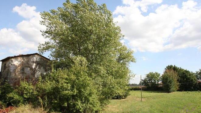 «Area a rischio idraulico e forte impatto ambientale»