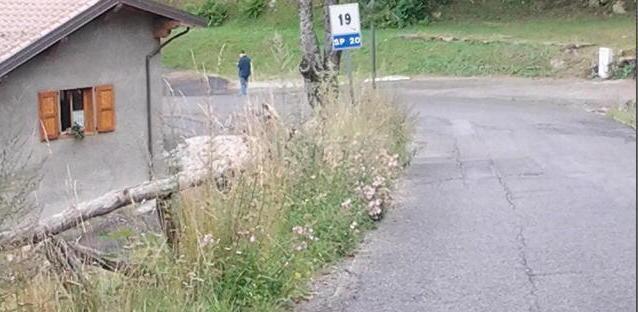 Invase dalle erbacce le strade del paese infuriati i residenti 