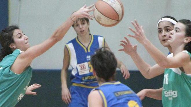 Basket, in B femminile sarà la stagione dei derby