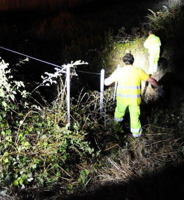 Si schianta sull’A12, muore a 49 anni 