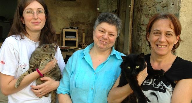 Prato, la guerra delle "gattare"