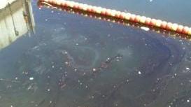 Materiali inquinanti trovati dall’Arpat nel Burlamacca