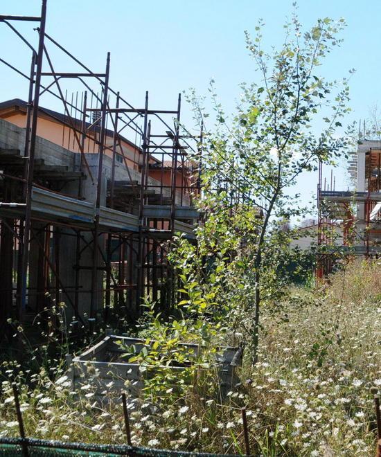 DEGRADO AMBIENTALE NEL CAPANNORESE