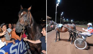 La notte magica di Varenne: lui fa passerella come una star al Sesana, la figlia  vince il Gp Bellei 