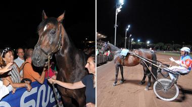 La notte magica di Varenne: lui fa passerella come una star al Sesana, la figlia vince il Gp Bellei