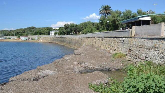 Revocato il divieto di balneazione a Ardenza